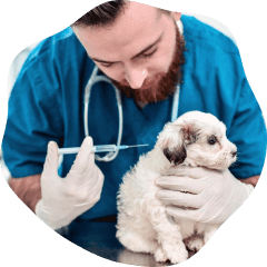 service-image